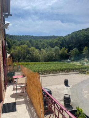 Appartement au calme au milieu du vignoble de Gigondas